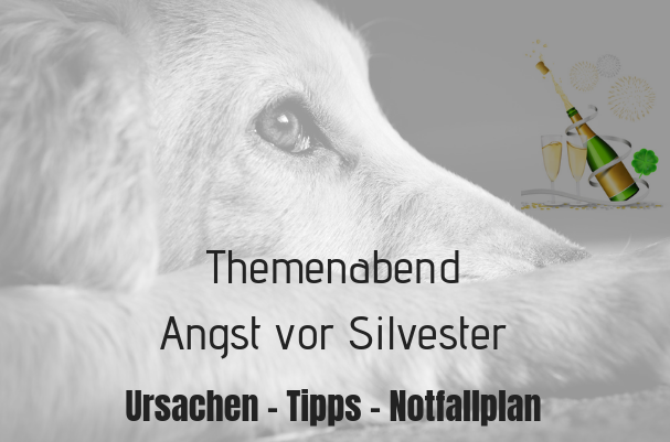 Themenabend Angst vor Silvester